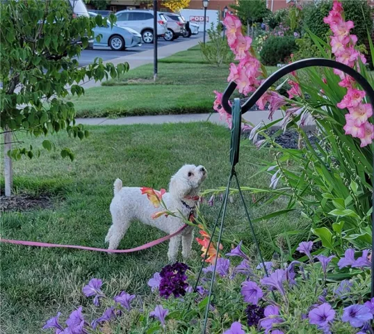 $295,000 | 107 Holiday Harbour, Canandaigua City, NY 14424