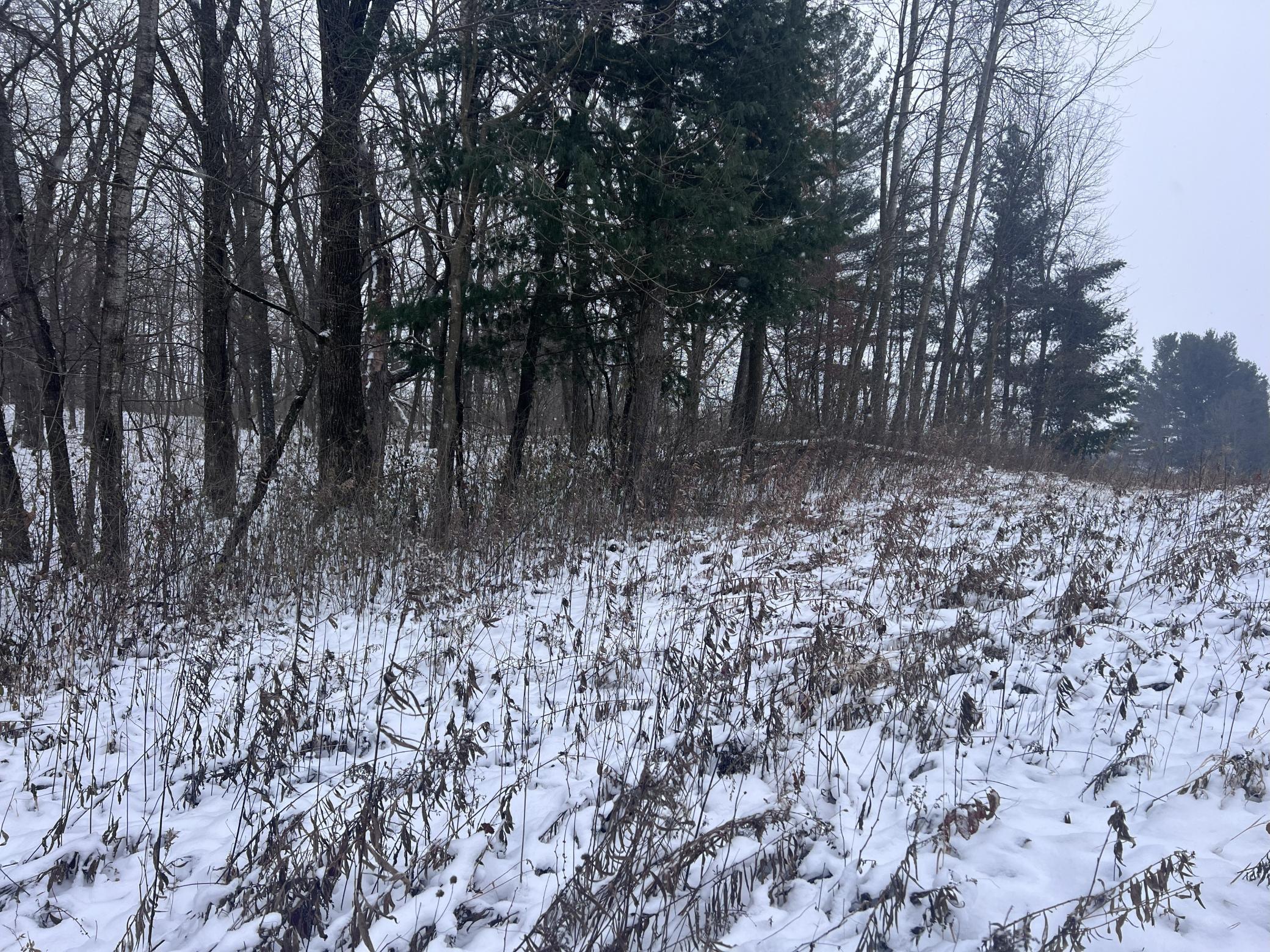 Tbd Tbd County Line Avenue Clear Lake, WI 54005 - Photo 4 of 7