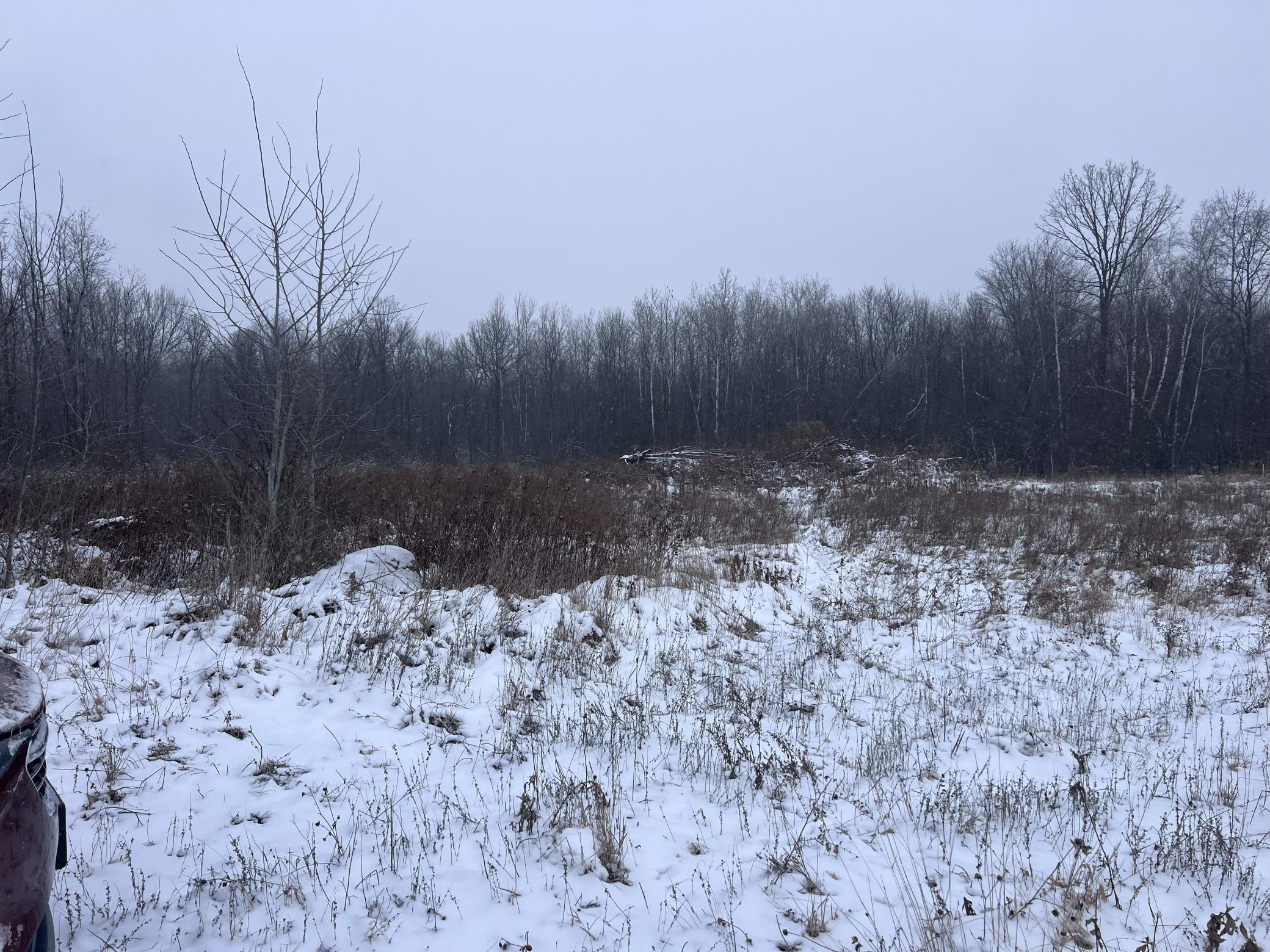 Tbd Tbd County Line Avenue Clear Lake, WI 54005 - Photo 5 of 7