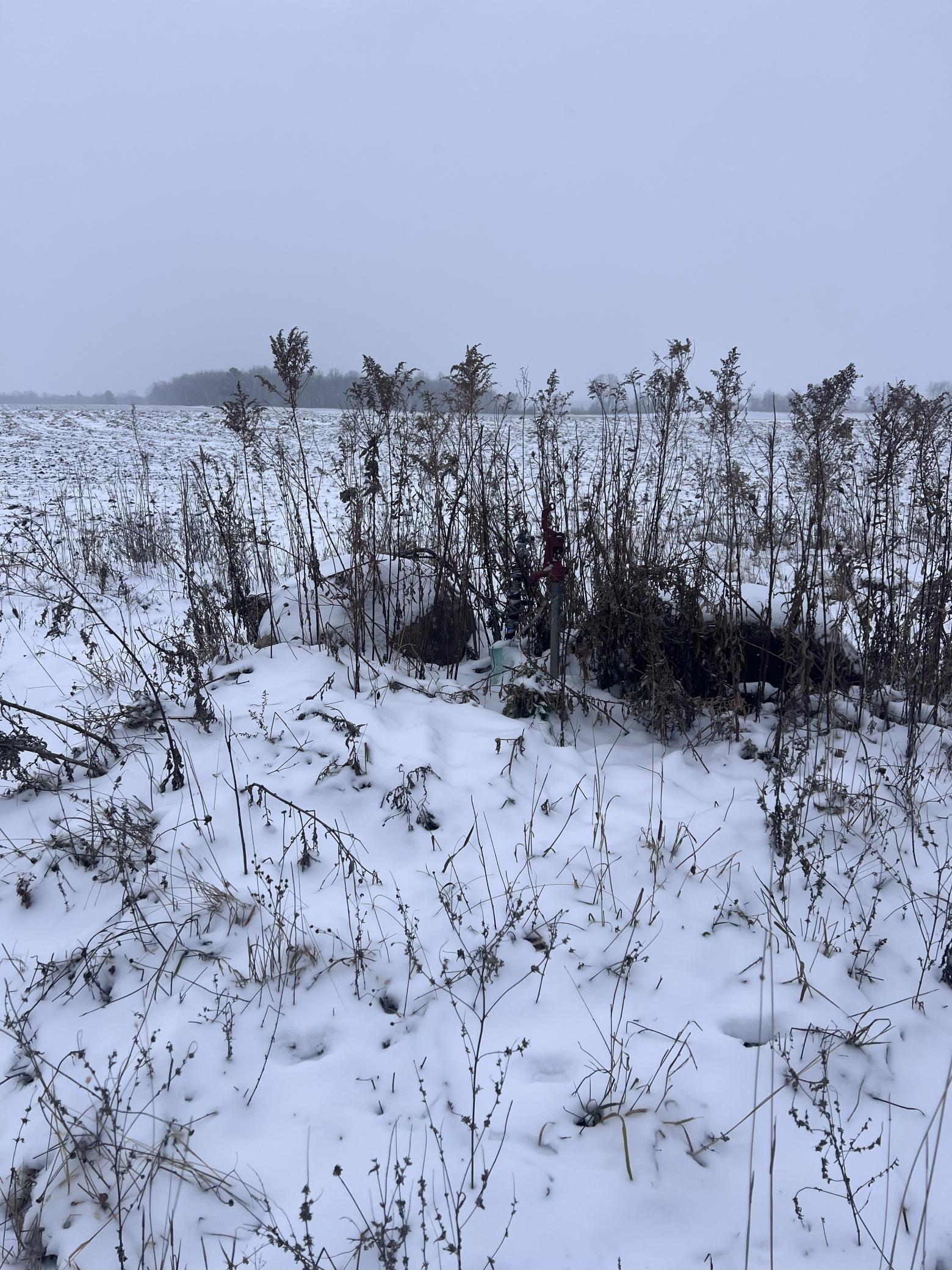 Tbd Tbd County Line Avenue Clear Lake, WI 54005 - Photo 6 of 7