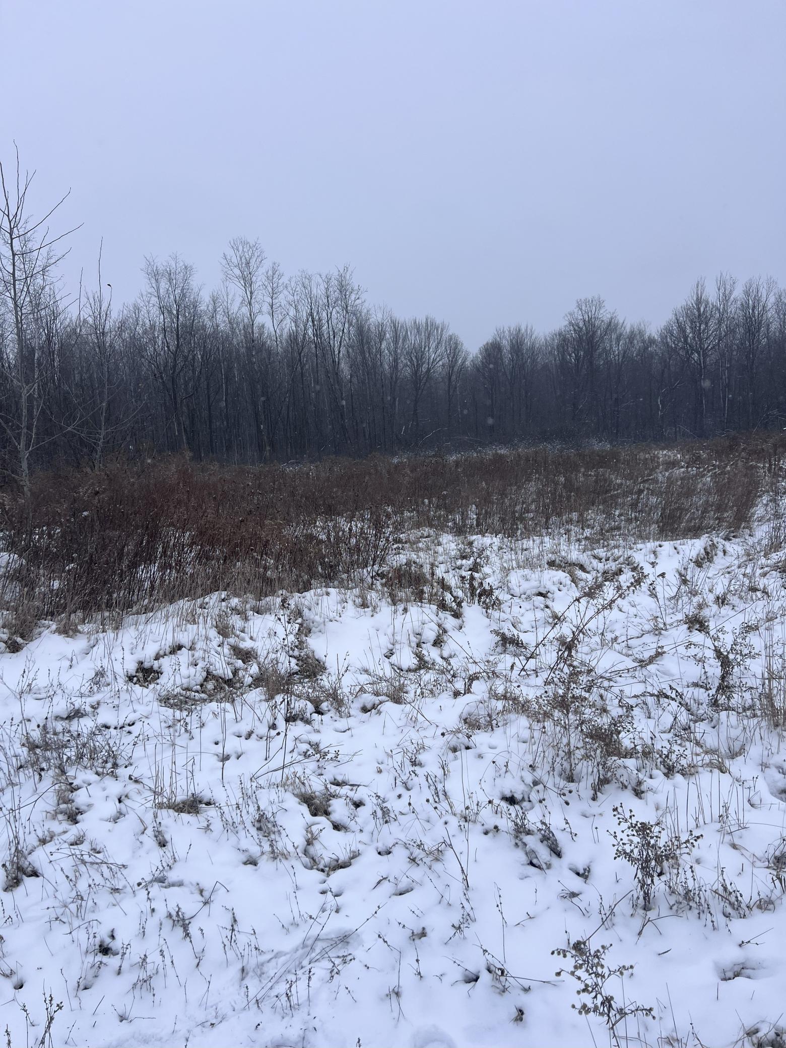 Tbd Tbd County Line Avenue Clear Lake, WI 54005 - Photo 7 of 7