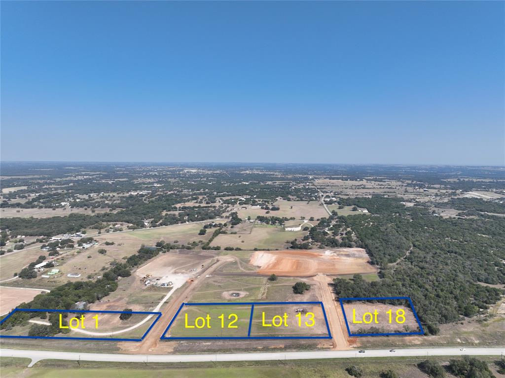 Lot 18 Ric Williamson Memorial Highway Weatherford, TX 76088 - Photo 3 of 6