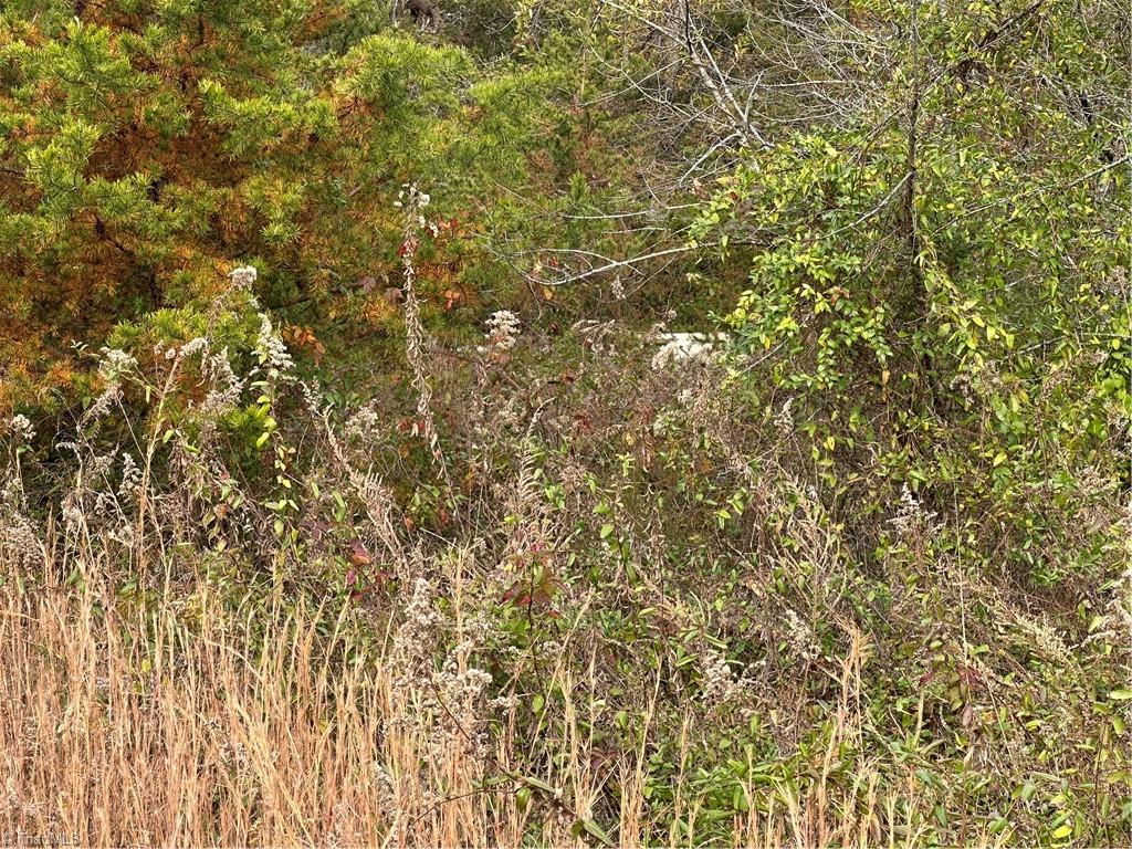 4832 Vienna Dozier Road Pfafftown, NC 27040 - Photo 41 of 46