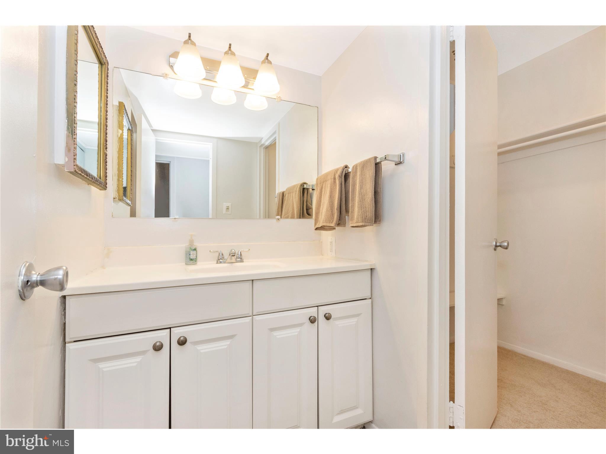 1836 Metzerott Road, Unit 510 Adelphi, MD 20783 - Photo 31 of 52 Bathroom