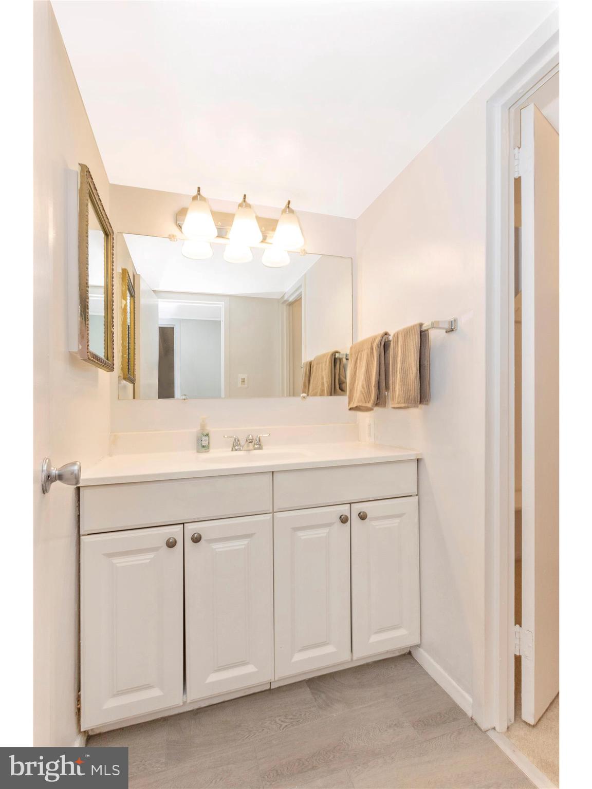 1836 Metzerott Road, Unit 510 Adelphi, MD 20783 - Photo 36 of 52 Bathroom