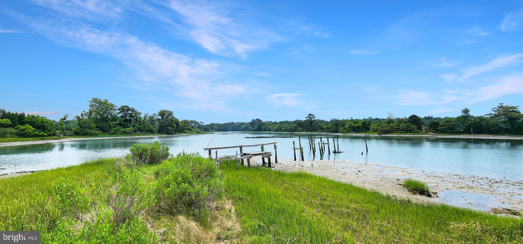 2598 Cherrystone Road Cape Charles, VA 23310 - Photo 5 of 47 Serene riverside retreat in nature.