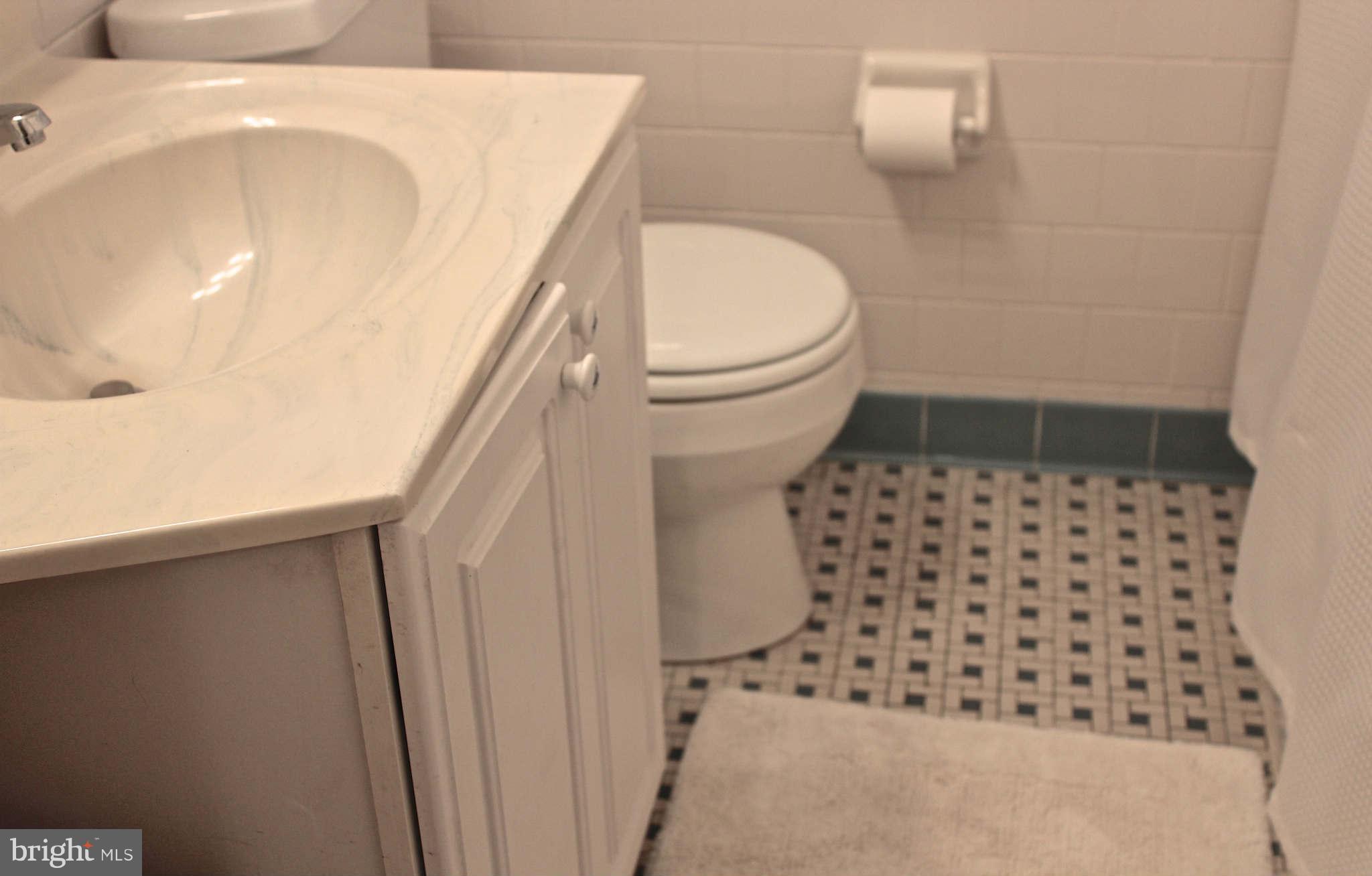 8729 Oakleigh Road Baltimore, MD 21234 - Photo 23 of 30 Bath