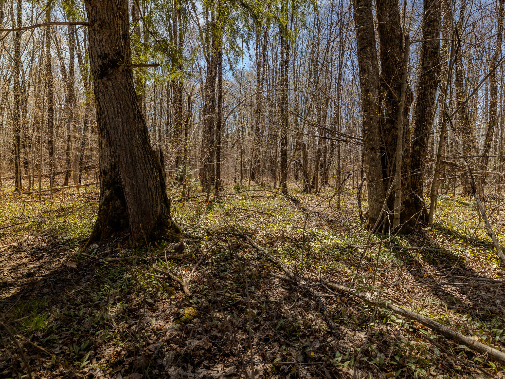 Lot3 East Shore Road Ewen, MI 49925 - Photo 21 of 25 048A2073-HDR