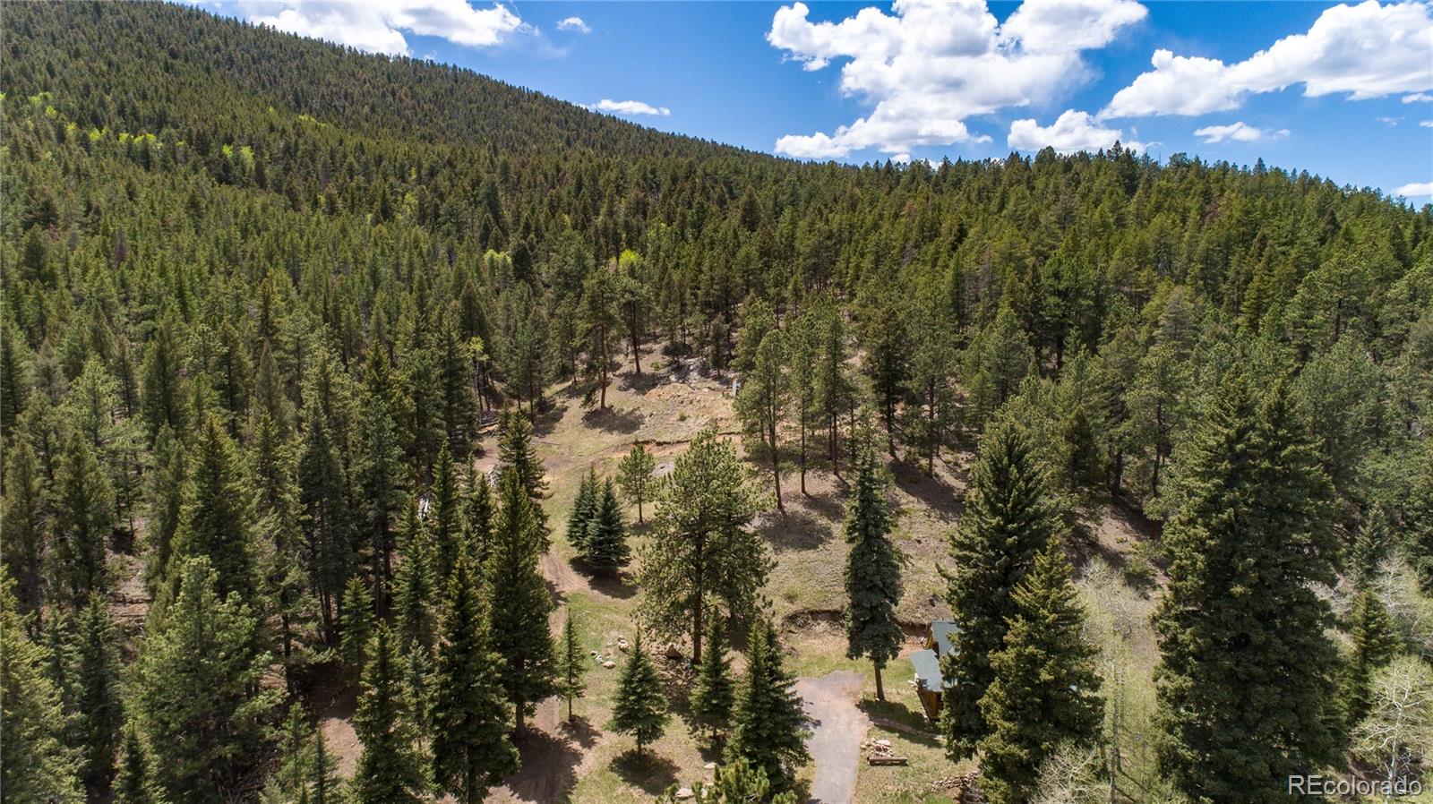13515 Baird Road Conifer, CO 80433 - Photo 16 of 39 Gallery Image 16