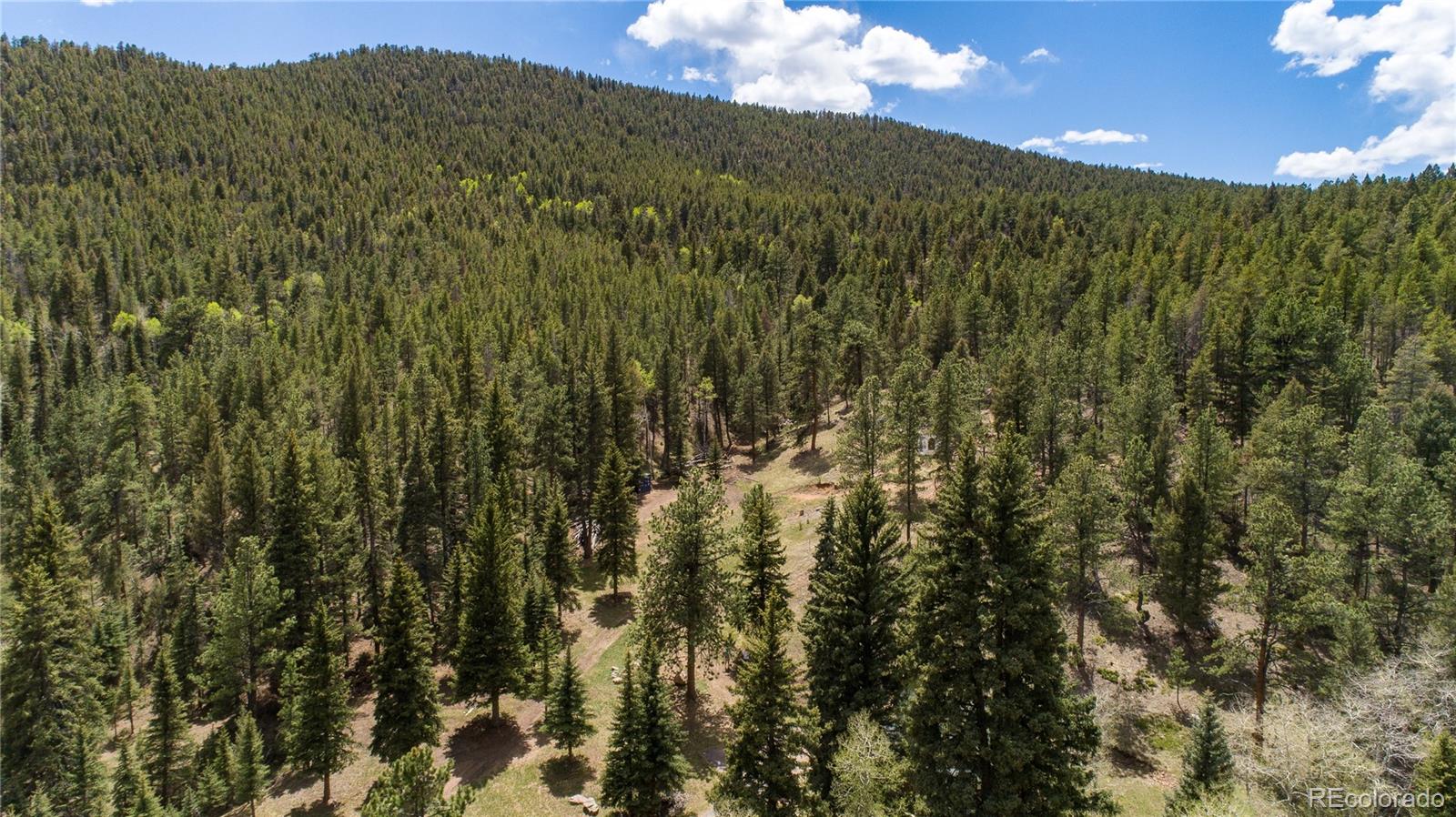 13515 Baird Road Conifer, CO 80433 - Photo 17 of 39 Gallery Image 17