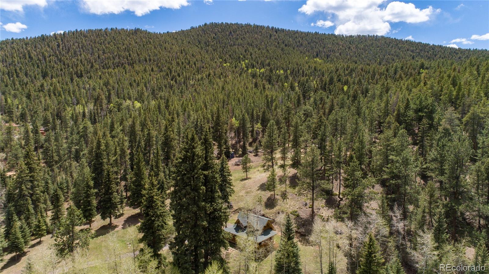 13515 Baird Road Conifer, CO 80433 - Photo 18 of 39 Gallery Image 18