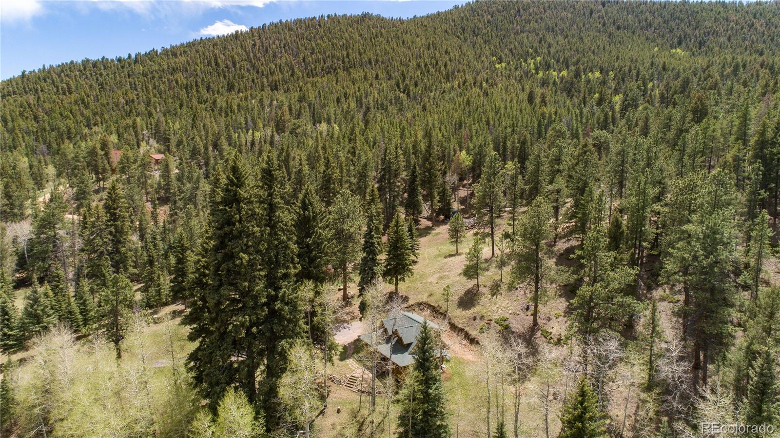 13515 Baird Road Conifer, CO 80433 - Photo 9 of 39 Gallery Image 9