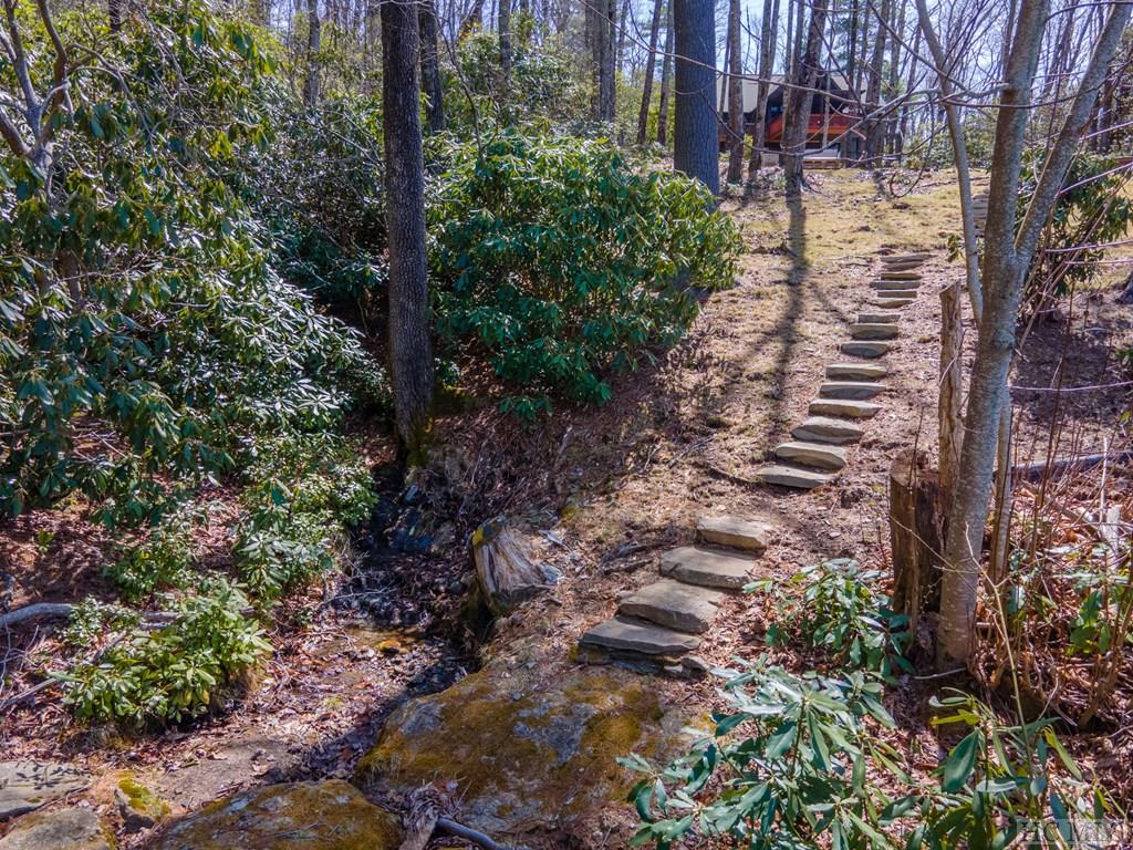 1251 Tower Road Sapphire, NC 28774 - Photo 39 of 55 Gallery Image 39