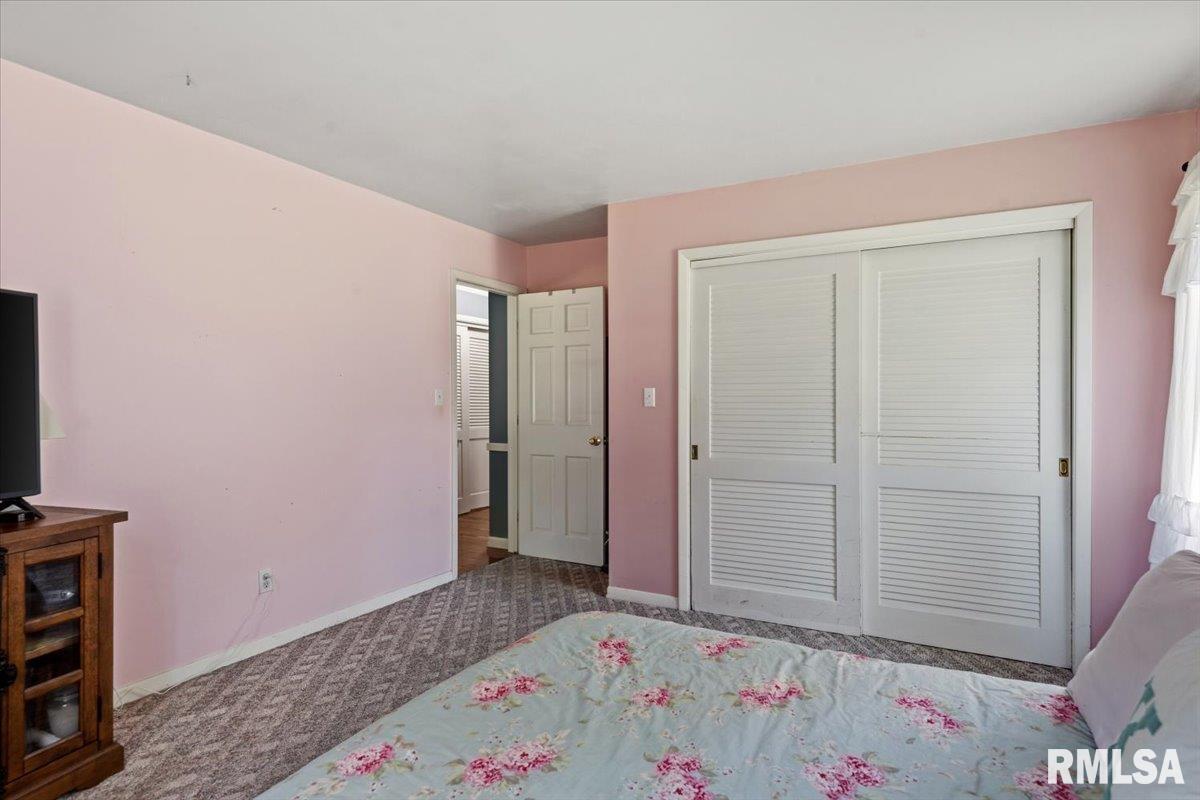 23 Circle Drive Rochester, IL 62563 - Photo 35 of 67