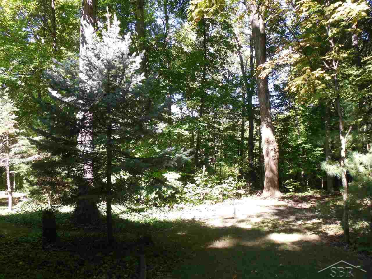 9041 Lange Road Birch Run, MI 48415 - Photo 61 of 75 31303330-60.JPG