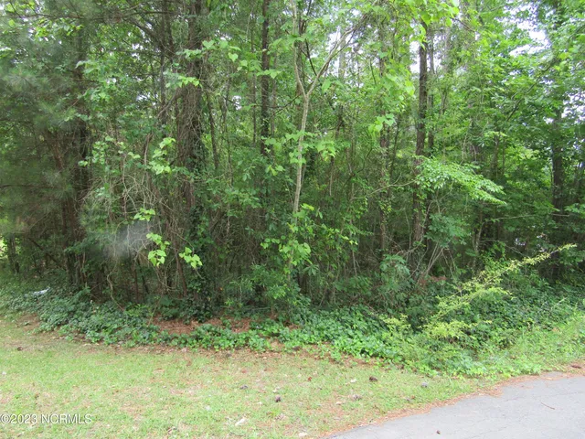 $16,000 | Lot 8 Quail Drive, Plymouth, NC 27962