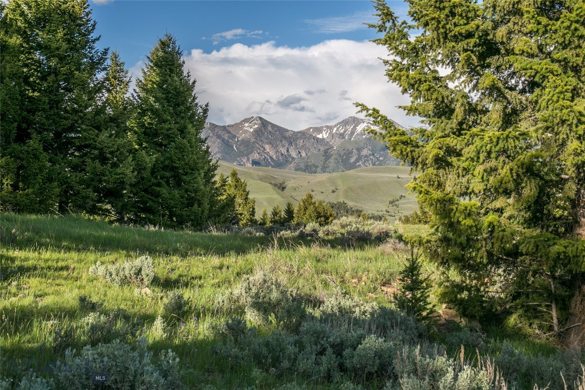 Lot 1 Sun West Ranch Cameron, MT 59720 - Photo 1 of 1 Gallery Image 1