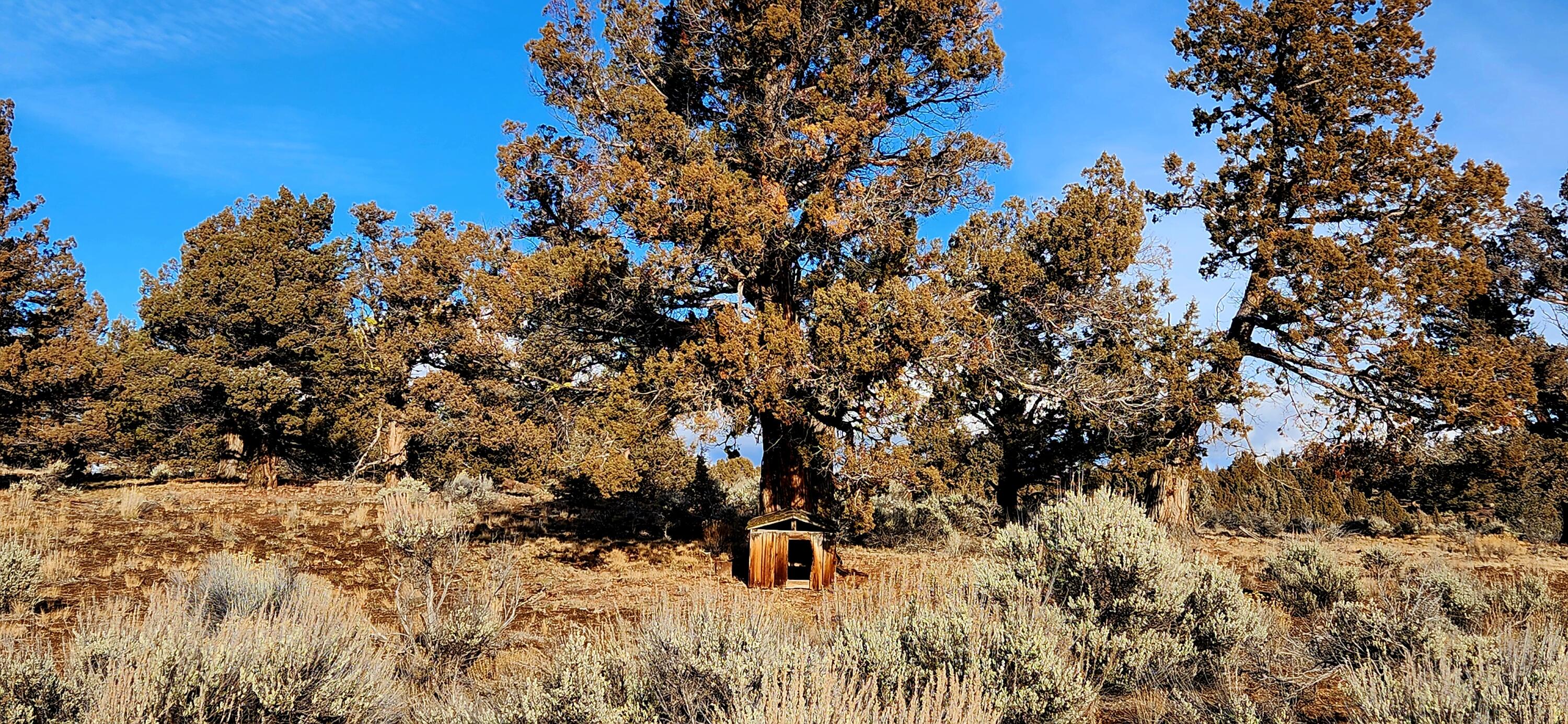 Merrill Road, Unit TL 1800 Prineville, OR 97754 - Photo 10 of 16 320ac_Img17
