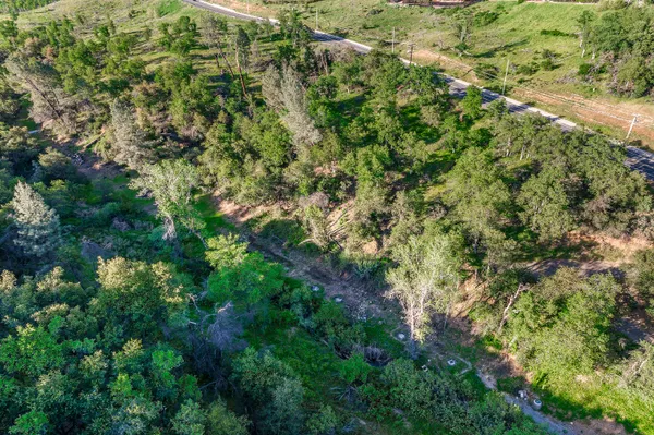a backyard of a house with lots of green space and a fountain