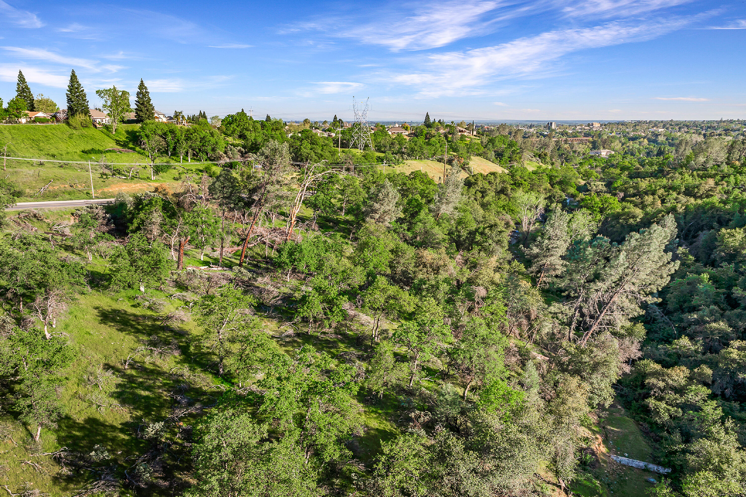 166 Quartz Hill Road Redding, CA 96003 - Photo 12 of 34 a view of a bunch of trees