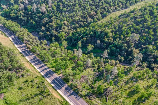 a view of a garden with an outdoor space