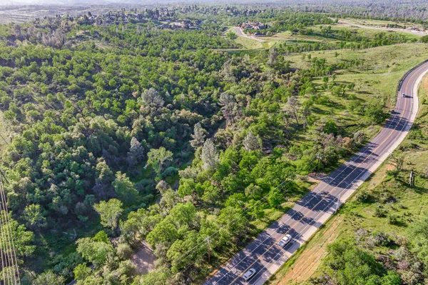a view of a yard with plants