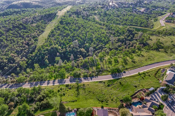view of a city with lush green forest