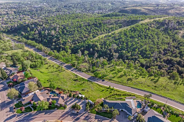 a view of a garden with flowers