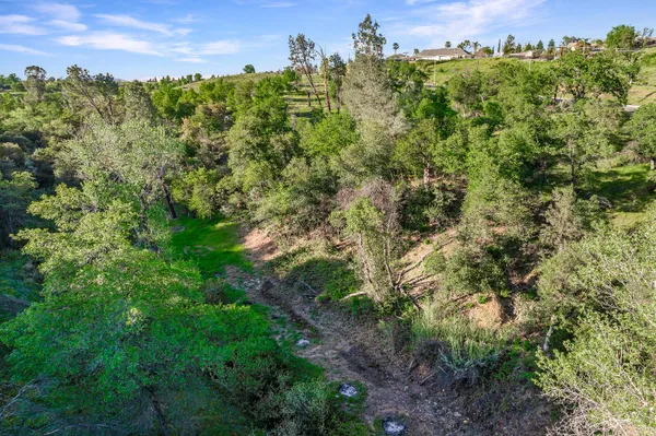 a view of a city with lush green forest