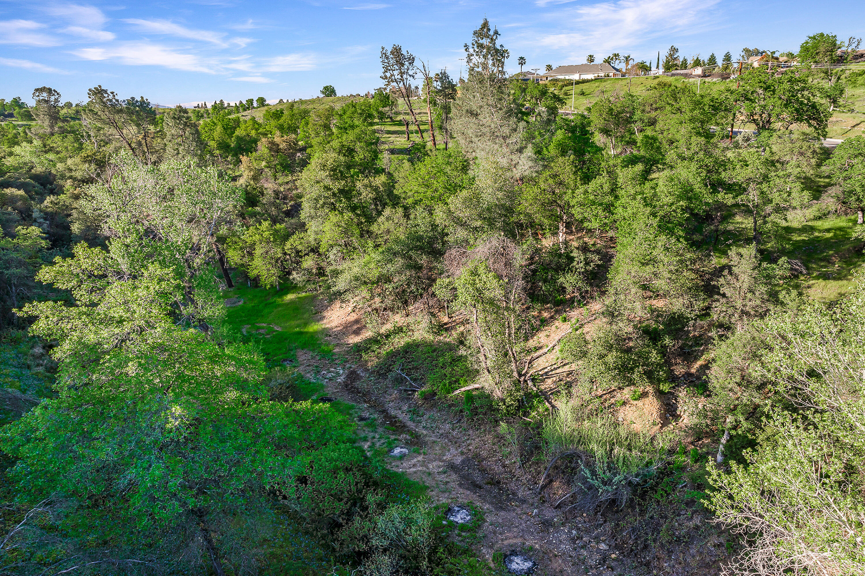 166 Quartz Hill Road Redding, CA 96003 - Photo 24 of 34 a view of a bunch of trees and bushes