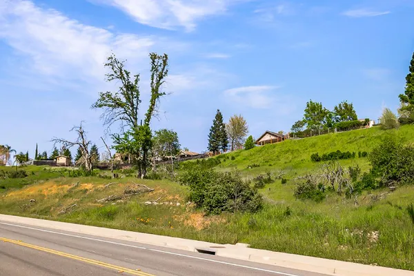 a view of a garden with a building in the background