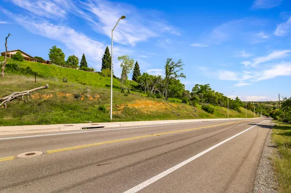 a view of a big yard with large trees and plants