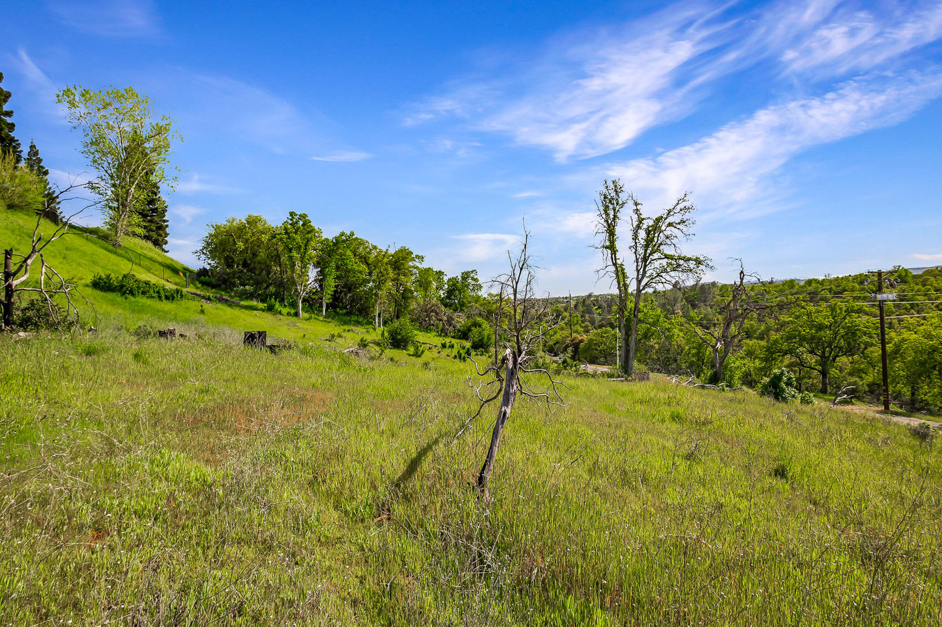 166 Quartz Hill Road Redding, CA 96003 - Photo 32 of 34 a view of a big yard with large trees and plants