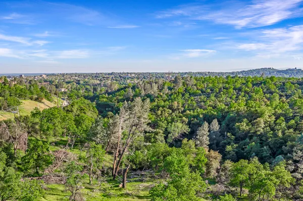 a view of a city with lush green forest