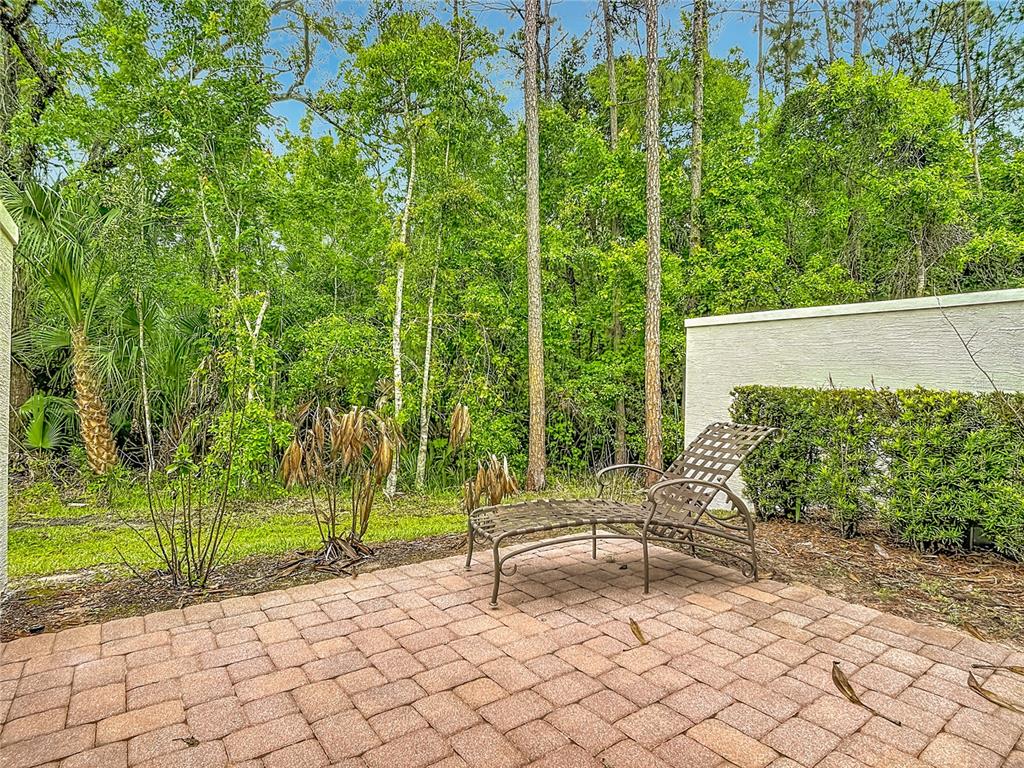 8149 Roseville Road Davenport, FL 33896 - Photo 49 of 63