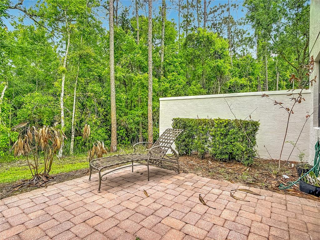 8149 Roseville Road Davenport, FL 33896 - Photo 50 of 63