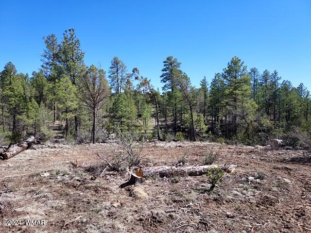 007 F Chevelon Road Heber, AZ 85928 - Photo 2 of 10