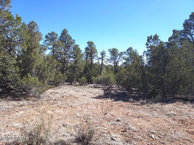 007 F Chevelon Road Heber, AZ 85928 - Photo 4 of 10