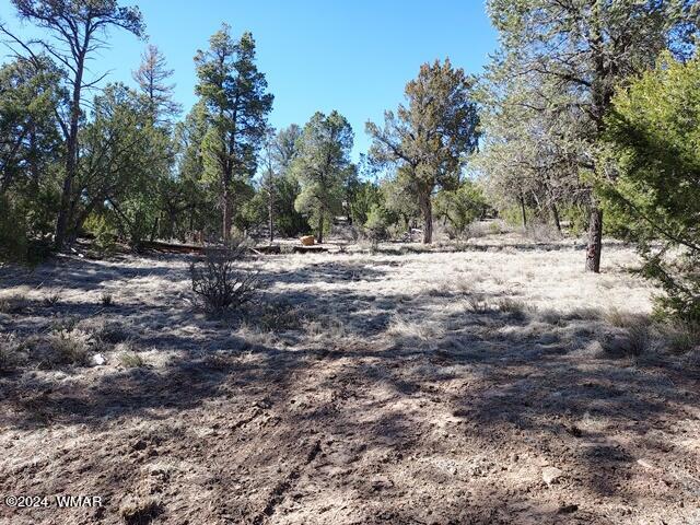 007 F Chevelon Road Heber, AZ 85928 - Photo 5 of 10