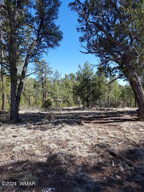 007 F Chevelon Road Heber, AZ 85928 - Photo 7 of 10