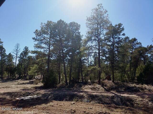 007 F Chevelon Road Heber, AZ 85928 - Photo 8 of 10
