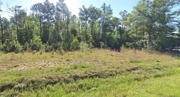 $15,000 | 0 Newt Hodges Road, Ragley, LA 70657