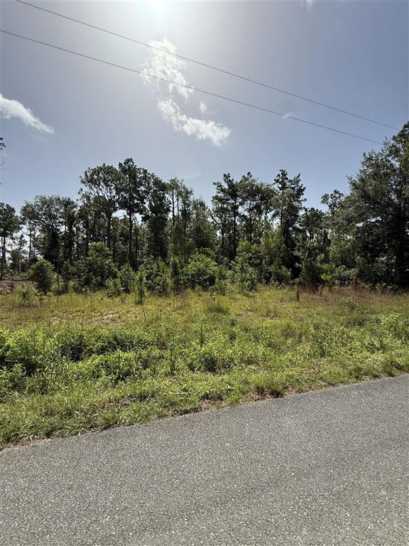 0 Newt Hodges Road Ragley, LA 70657 - Photo 5 of 5