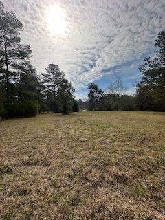 0 Frashier Road Carrollton, GA 30116 - Photo 4 of 13