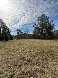 0 Frashier Road Carrollton, GA 30116 - Photo 5 of 13