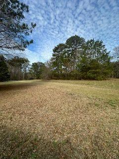 0 Frashier Road Carrollton, GA 30116 - Photo 9 of 13