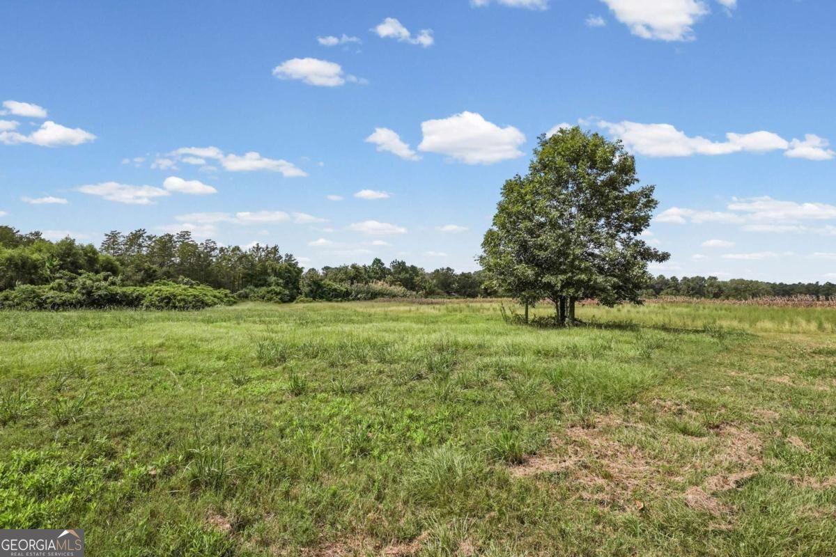 1024 10 Mile Road Fitzgerald, GA 31750 - Photo 62 of 70 Gallery Image 62