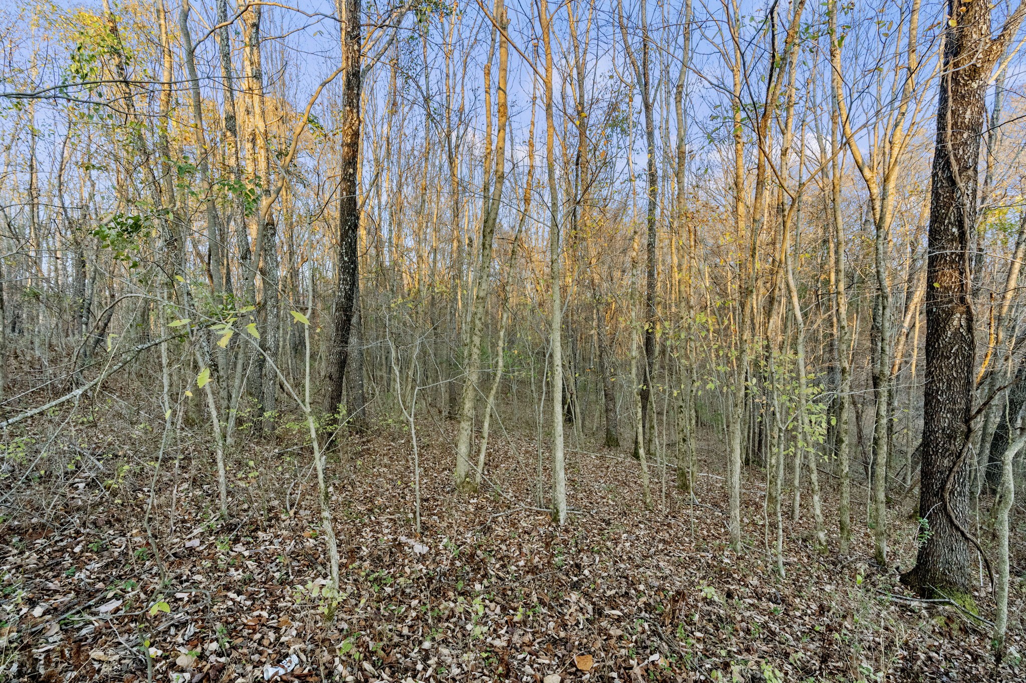 3855 Baggett Road Springfield, TN 37172 - Photo 40 of 42