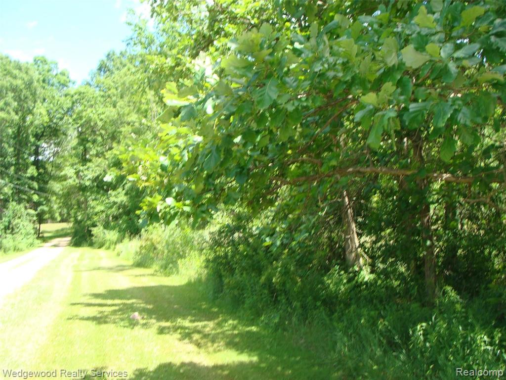 0 East Rose Center Road Pontiac, MI 48342 - Photo 3 of 18