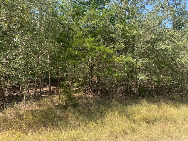 $40,000 | 515 Whispering Wood Trail, Somerville, TX 77879